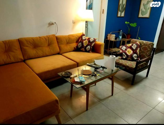 דוד אלעזר 17