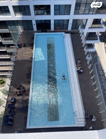 ליאונרדו דה וינצ'י 1