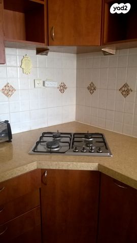 אביר יעקב 24