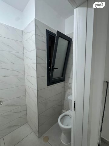 שיר השירים 11