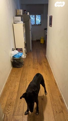 דירה, פיארברג 10, לב תל אביב, לב העיר צפון, תל אביב יפו