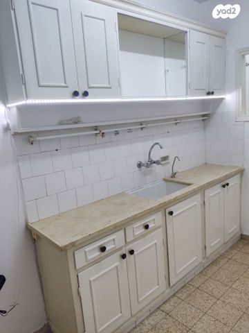 אריה בן אליעזר 35