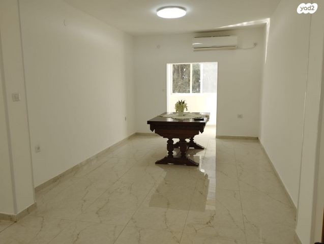 אליעזר הלוי 13