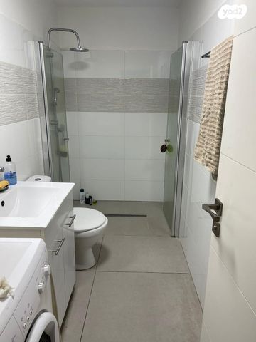 נווה דקלים 40