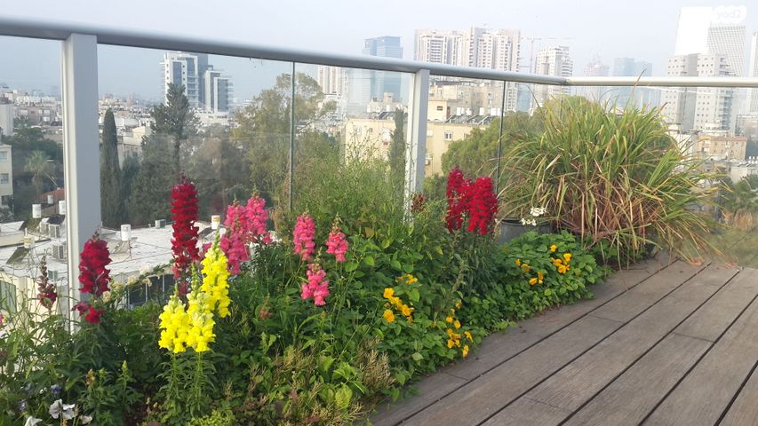 גג/ פנטהאוז, בורוכוב 15, בורוכוב, גבעתיים