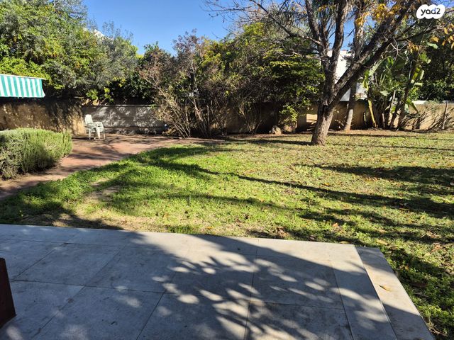 שמעון הצדיק 1