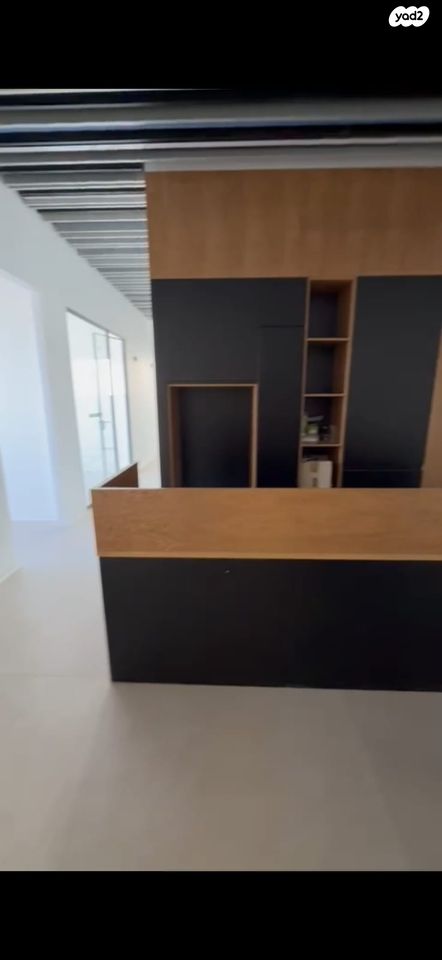 יהושע חנקין 2