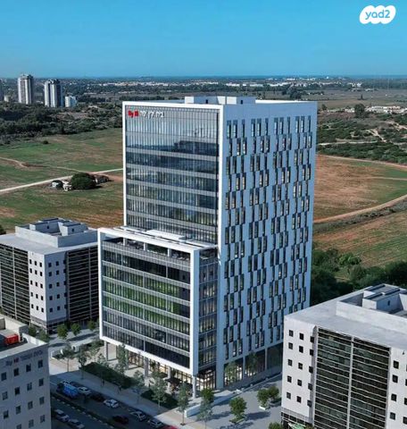 אלי הורוביץ 15