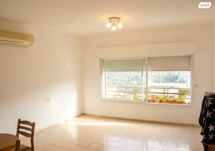 אלכסנדר ינאי 