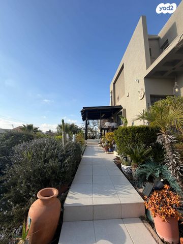 שלמה בן יוסף 