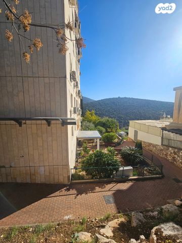 דירה, מורד הגיא, כרמיאל