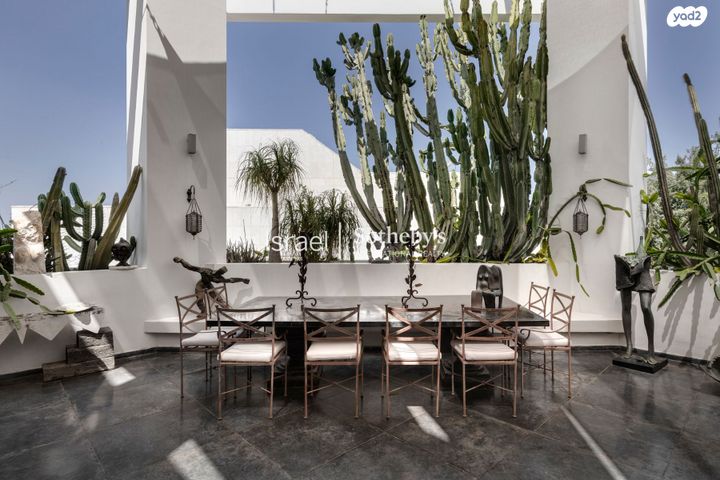 דופלקס, אלכסנדר סשה ארגוב, המשתלה, תל אביב יפו