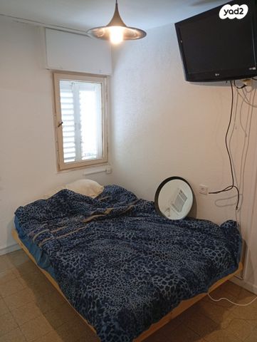 דירה, אילת 88, ג'סי כהן, חולון