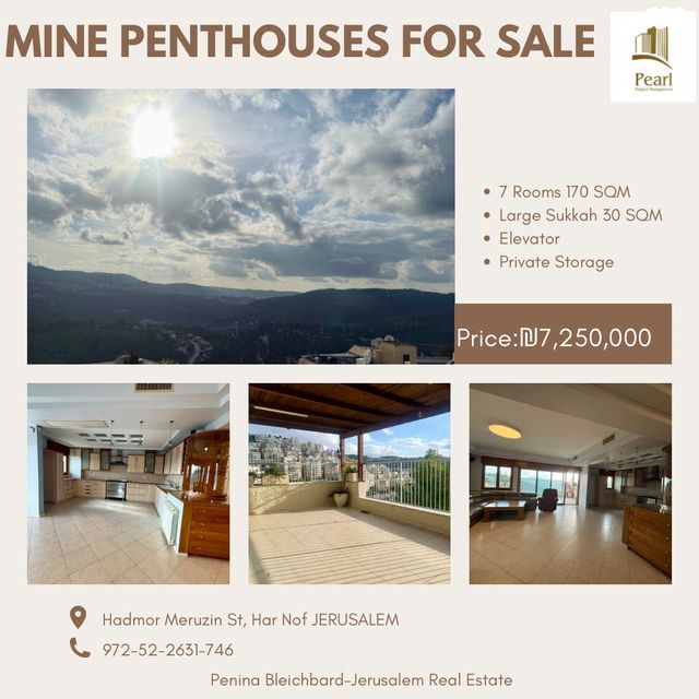 גג/ פנטהאוז, האדמו"ר מרוז'ין, הר נוף, ירושלים