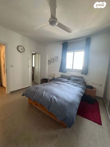 דירה, האגמית, החותרים, טירת כרמל