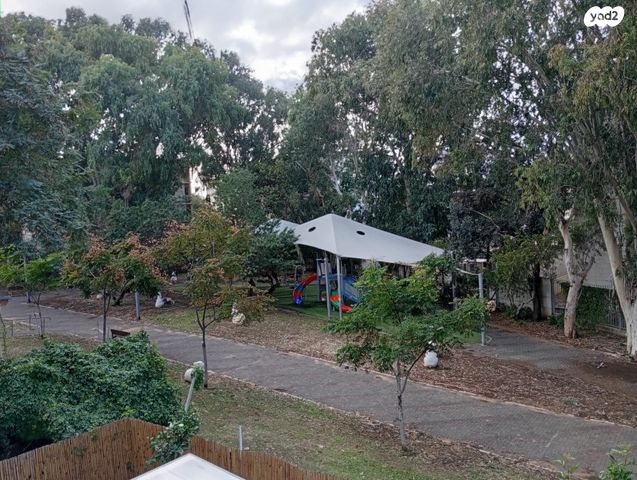 דירה, אילת 88, ג'סי כהן, חולון