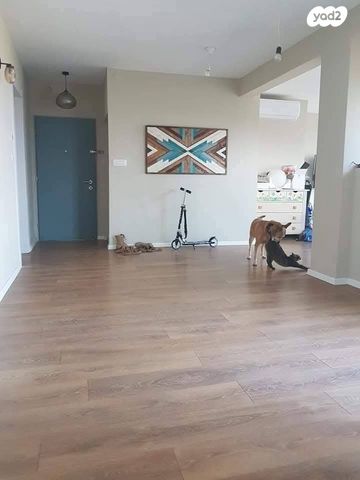 דירה, כברי, כברי