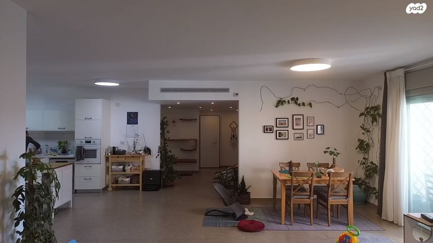 דירה, האגמית, החותרים, טירת כרמל