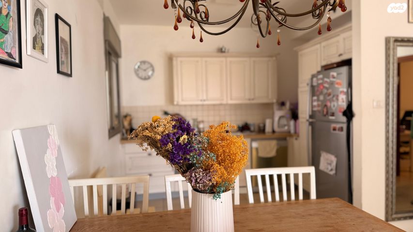 דירה, הרצל, ליבת העיר, יהוד מונוסון