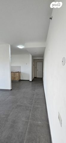 דירה, אשקלון