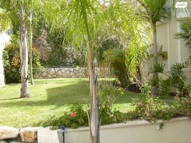 בית פרטי/ קוטג'