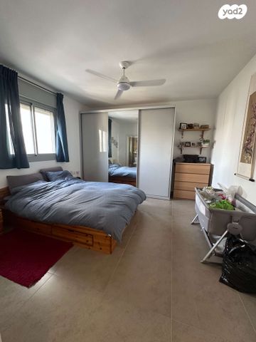 דירה, האגמית, החותרים, טירת כרמל