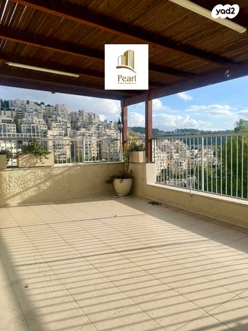 האדמו"ר מרוז'ין 