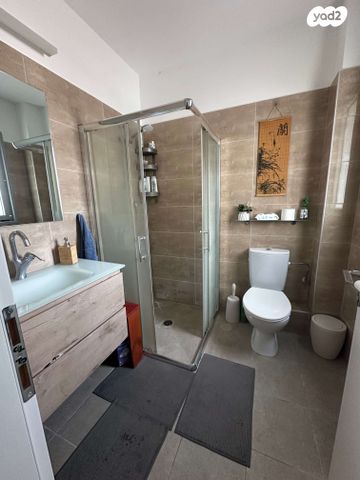 דירה, האגמית, החותרים, טירת כרמל