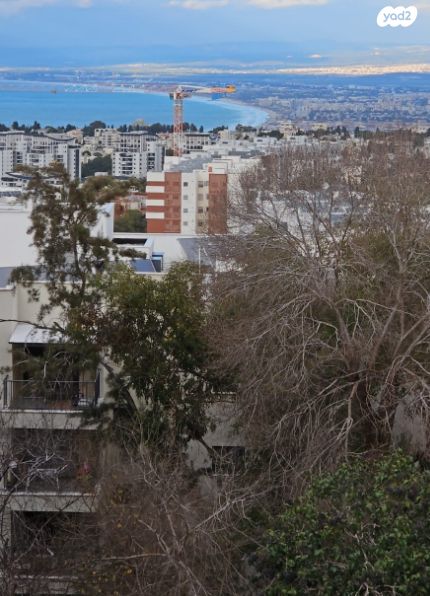 יהודה בורלא 