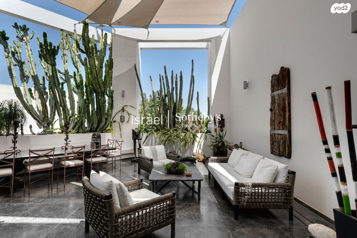 אלכסנדר סשה ארגוב 