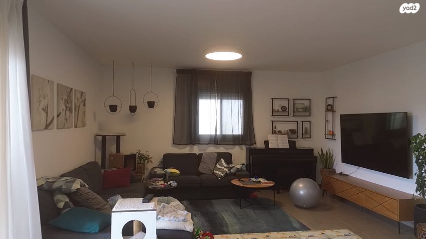 דירה, האגמית, החותרים, טירת כרמל