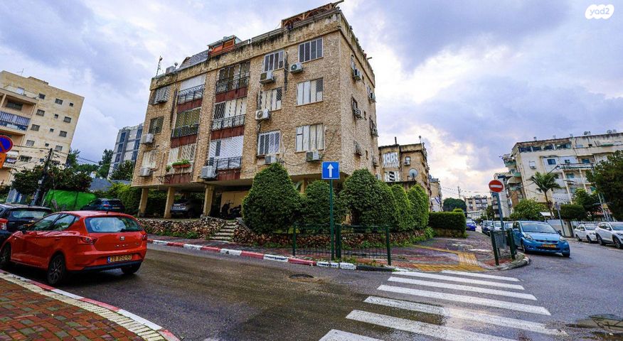 זכריה הלל 13