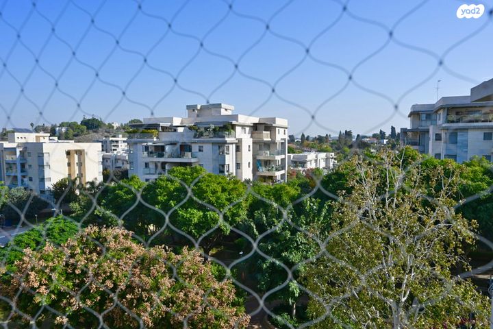 דירה, וואלי, העמק, נס ציונה