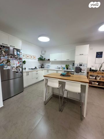 דירה, האגמית, החותרים, טירת כרמל