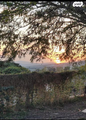 משק חקלאי/ נחלה, אלמגור