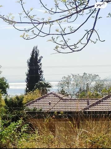 משק חקלאי/ נחלה, אלמגור