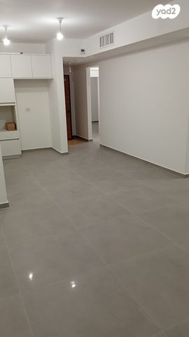 אהרון אייזנברג 