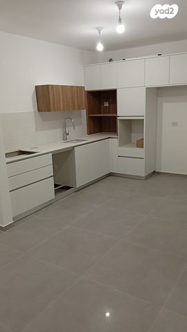 אהרון אייזנברג 