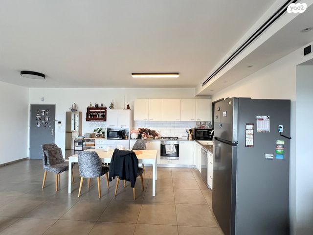 אלישע הנביא 