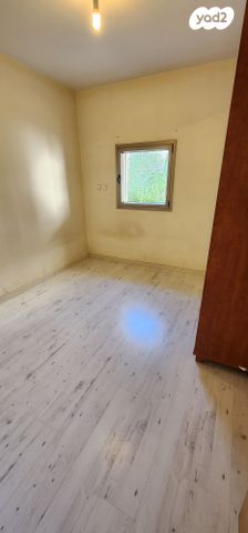 לוין קיפניס 3