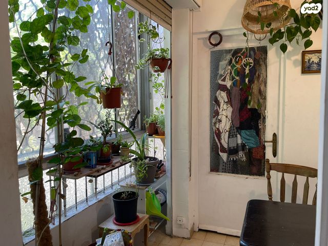 דירה, שדרות הציונות, חיפה