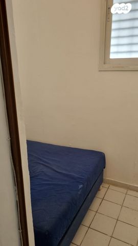 דירה, אנילביץ', ותיקים, בת ים