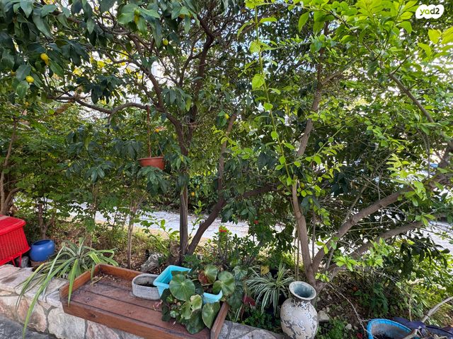 דירה, השניים, בורוכוב, גבעתיים