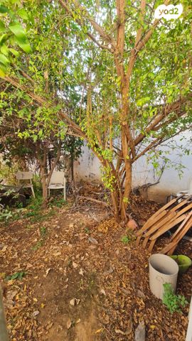 דירה, דם המכבים, ביצרון ורמת ישראל, תל אביב יפו