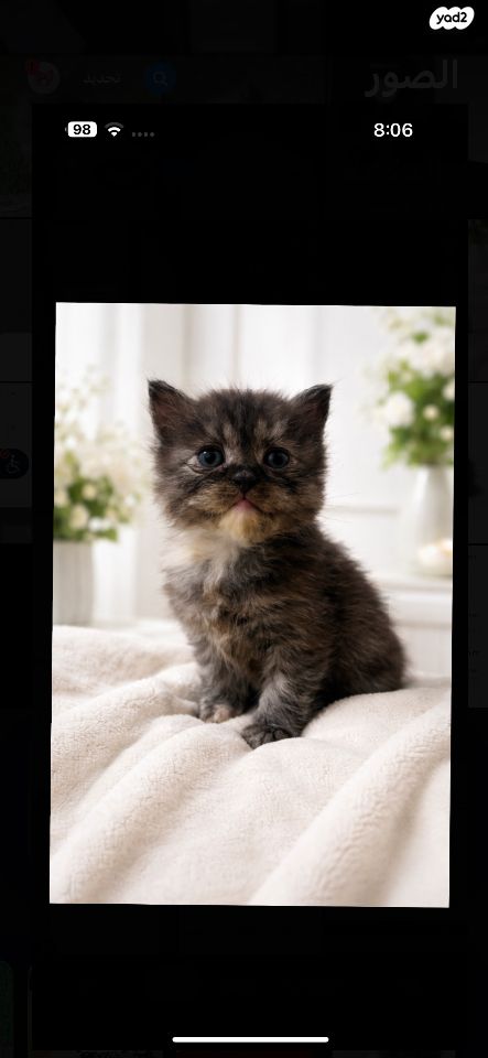 תמונת מודעה - חיות מחמד