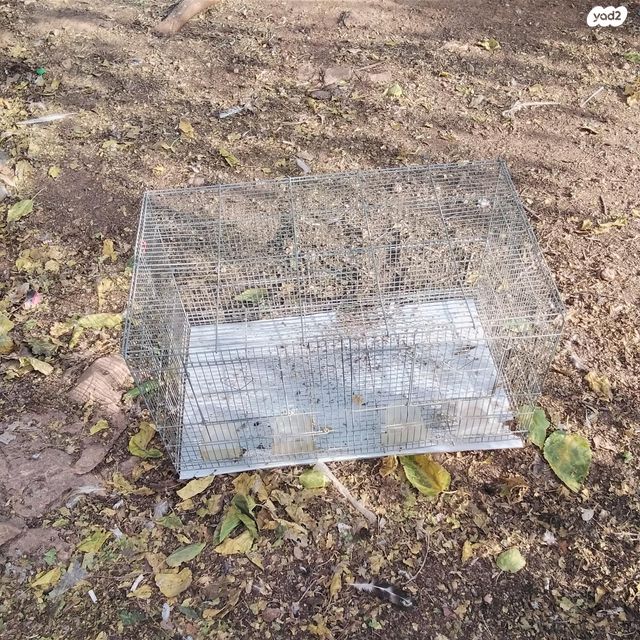 תמונת מודעה - חיות מחמד