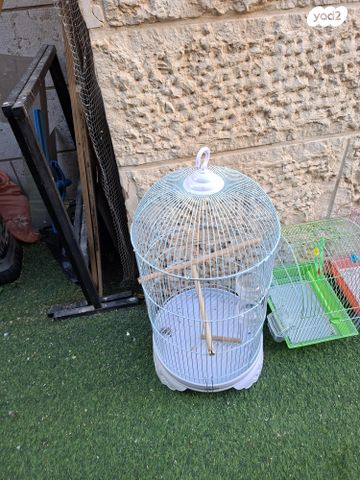 תמונת מודעה - חיות מחמד