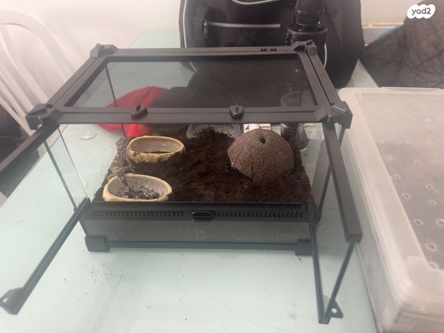 תמונת מודעה - חיות מחמד