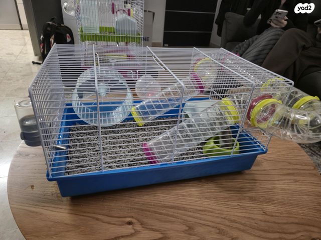 תמונת מודעה - חיות מחמד