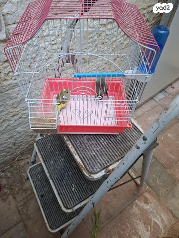 תמונת מודעה - חיות מחמד